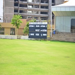 Cricket Playground